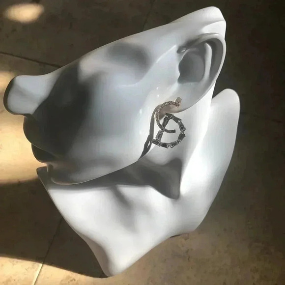 CD Earrings - Picture 3 of 5